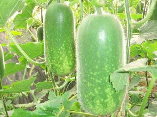 娱乐吃瓜壁纸高清竖屏,一网打尽娱乐圈新鲜事