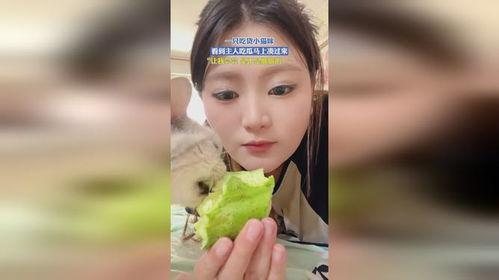 小主儿娱乐吃瓜