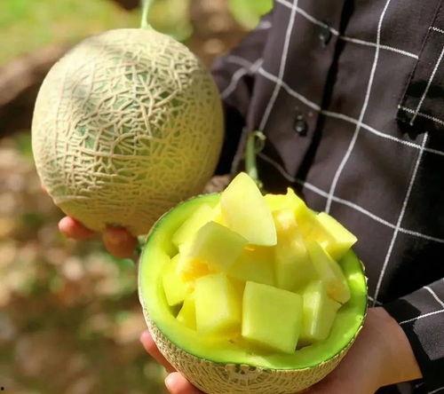 壁纸娱乐吃瓜,吃瓜群众的热议焦点