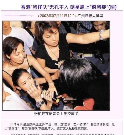 吃瓜娱乐少女和狗仔,揭秘娱乐圈幕后风云