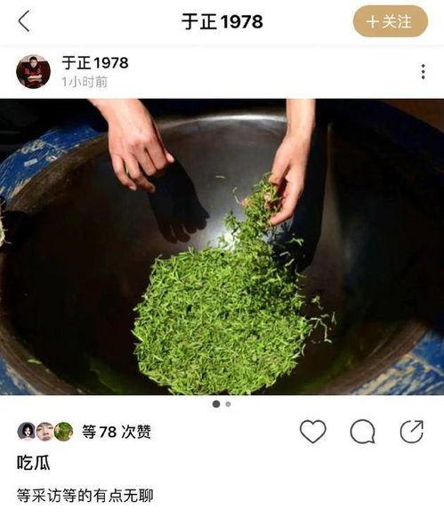 娱乐吃瓜蜀黍海苔咪,揭秘娱乐圈幕后故事